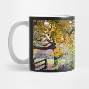 A walk in the country... Mug